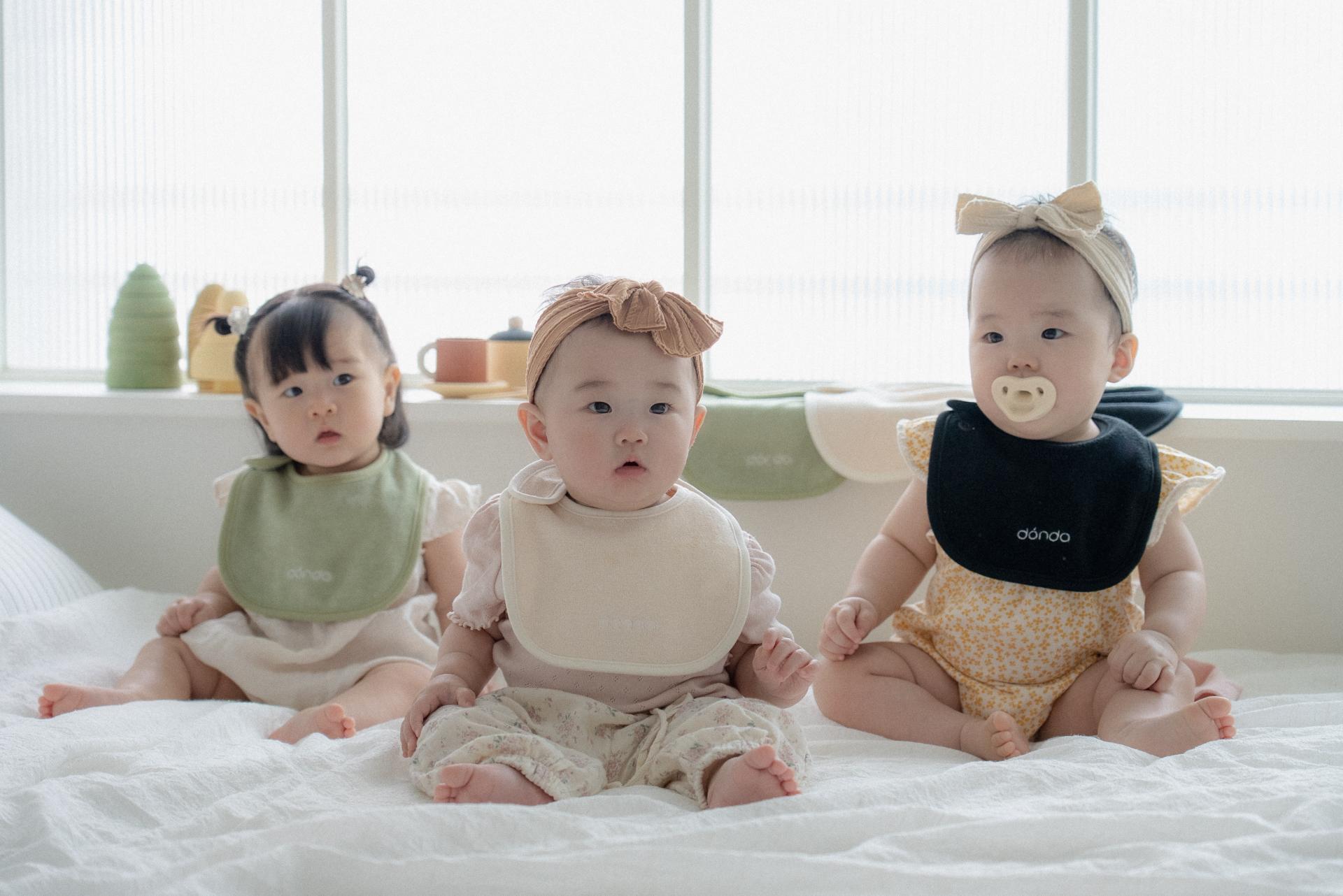 dánda terry bib 5 colors set (단다빕 단다 테리빕 5종)