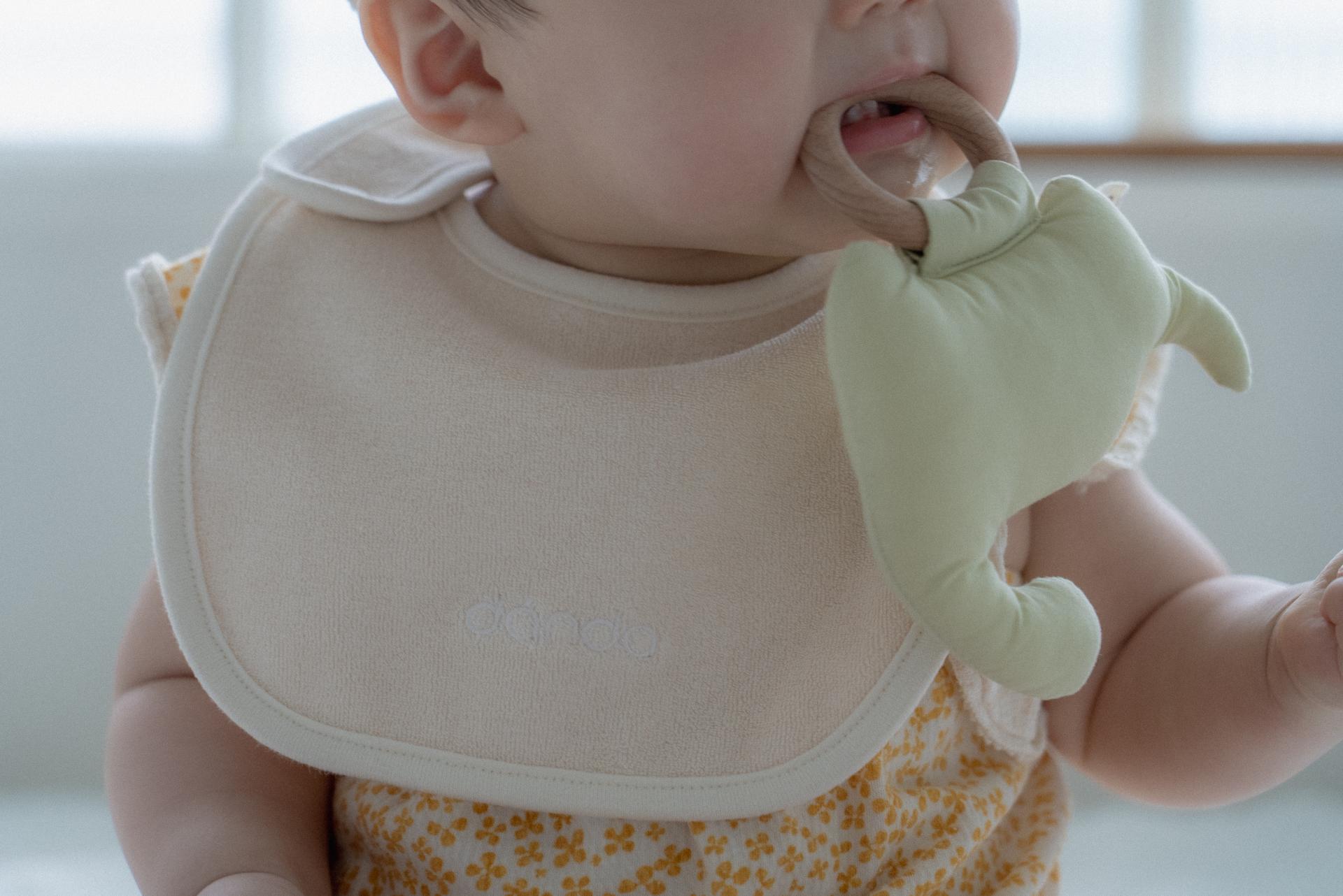 dánda terry bib 3 colors set (단다 테리빕 3종)