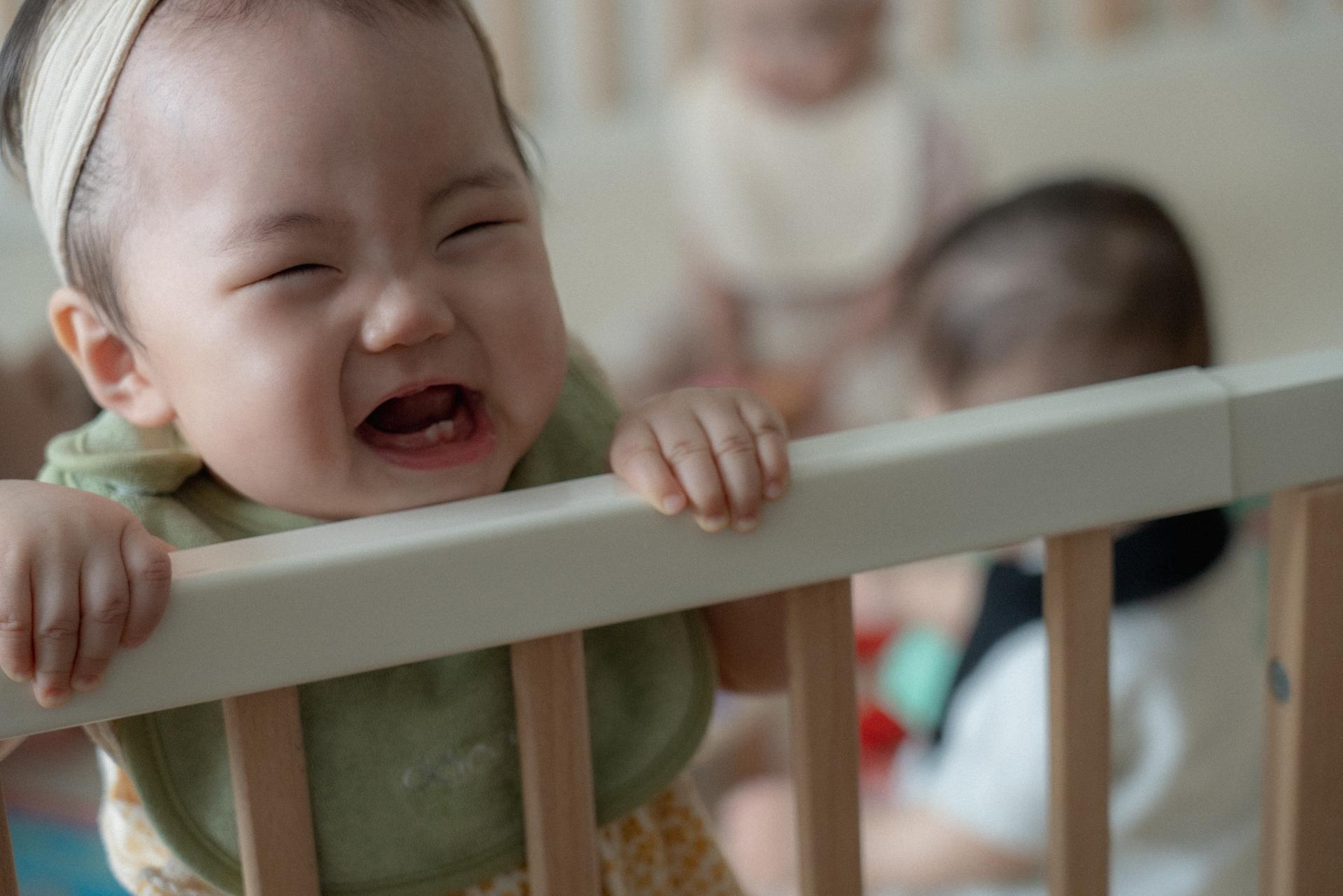 dánda terry bib 3 colors set (단다 테리빕 3종)