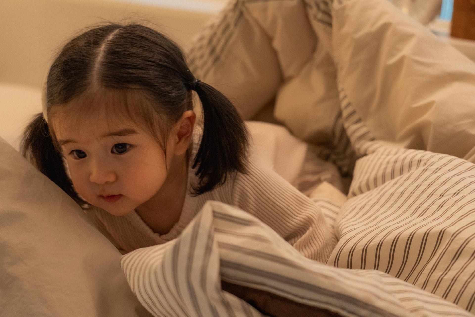 단다 밤밤 컴포터 | dánda bambam comforter