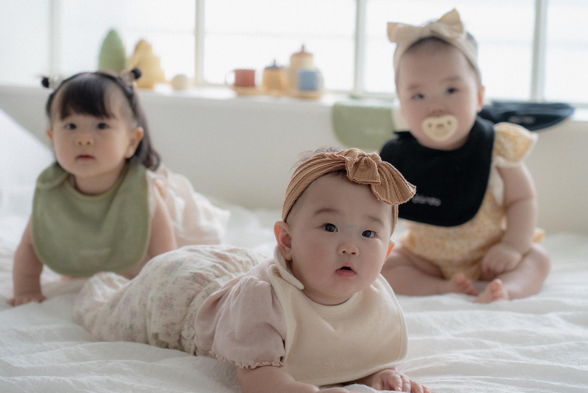 dánda terry bib 5 colors set (단다빕 단다 테리빕 5종)